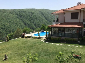 Villa Holiday Sapanca Dibektaş